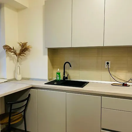 Green Studio Apartment Cluj-Napoca